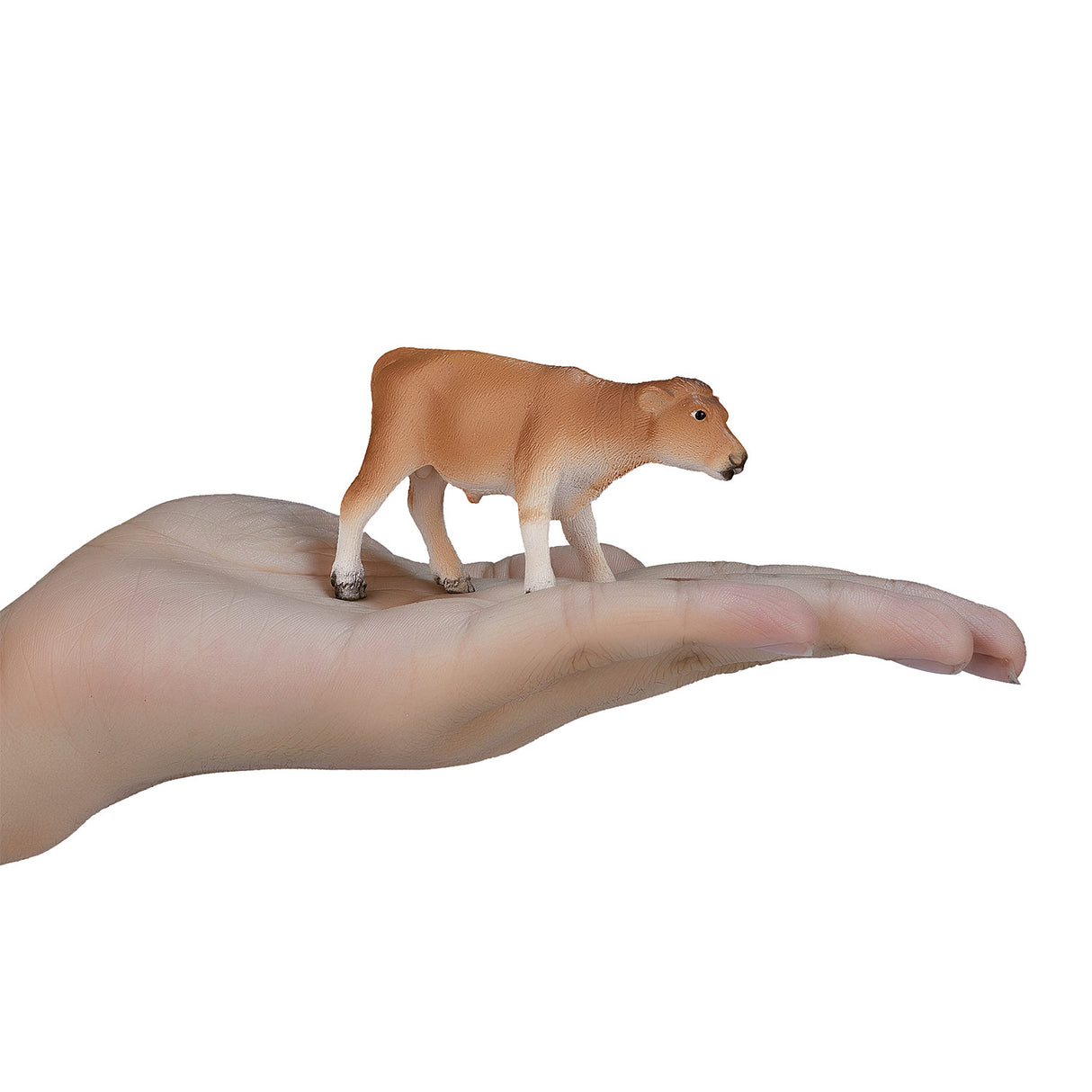 Mojo Farmland Jersey Calf Standing 387147