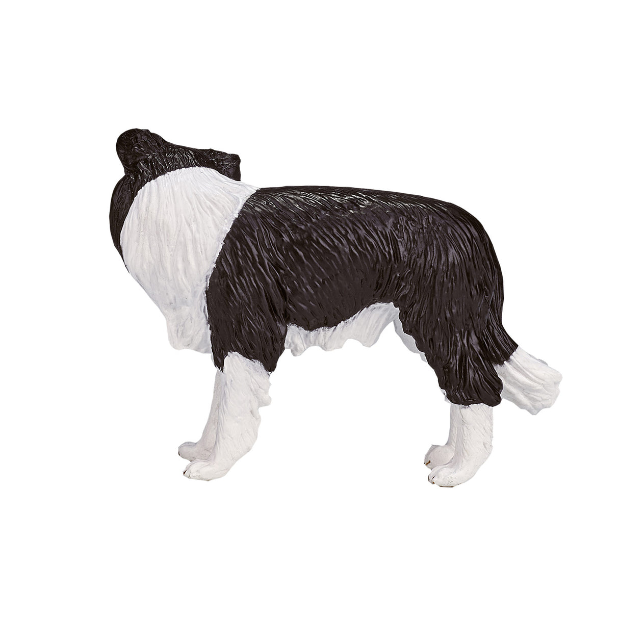 MOJO Farmland Border Collie 387203