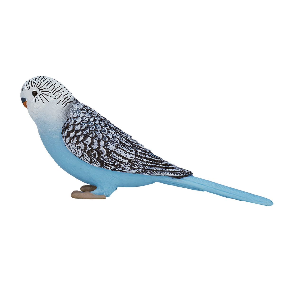 Mojo Farmland Budgerigar Blue 387292