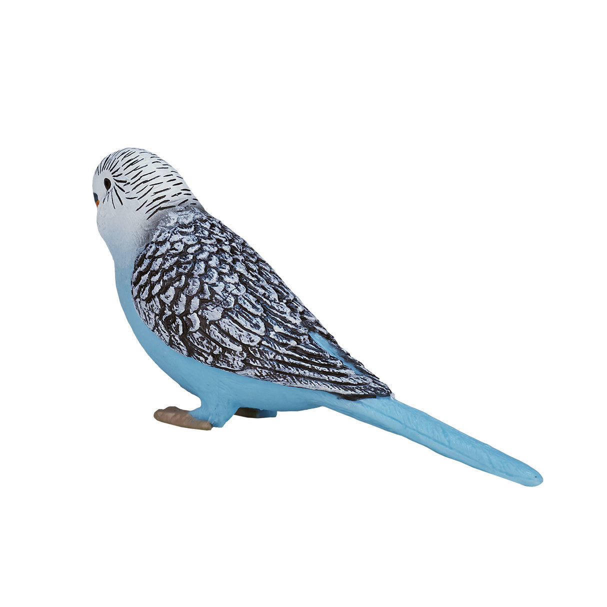 Mojo Farmland Budgerigar Blue 387292