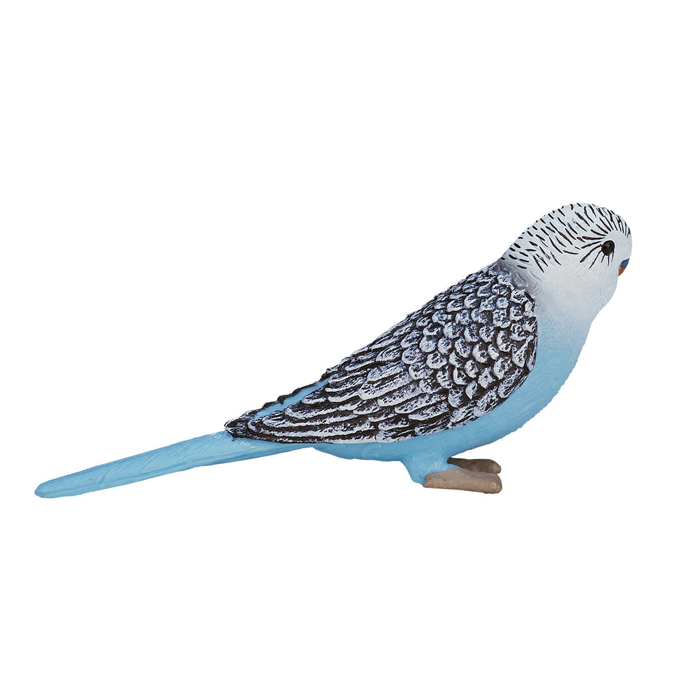 Mojo Farmland Budgerigar Blue 387292