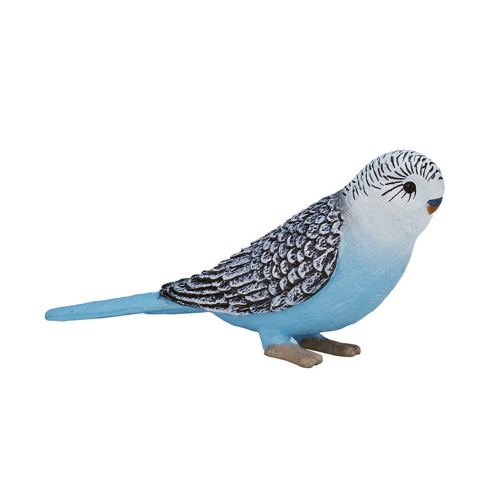 Mojo Farmland Budgerigar Blue 387292