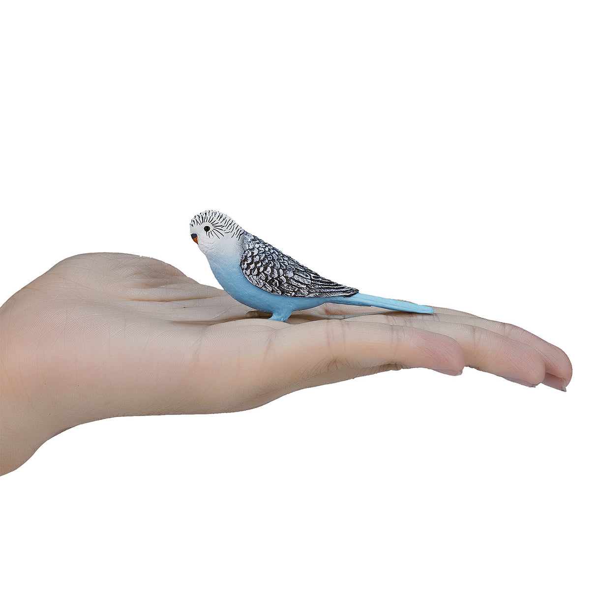 Mojo Farmland Budgerigar Blue 387292