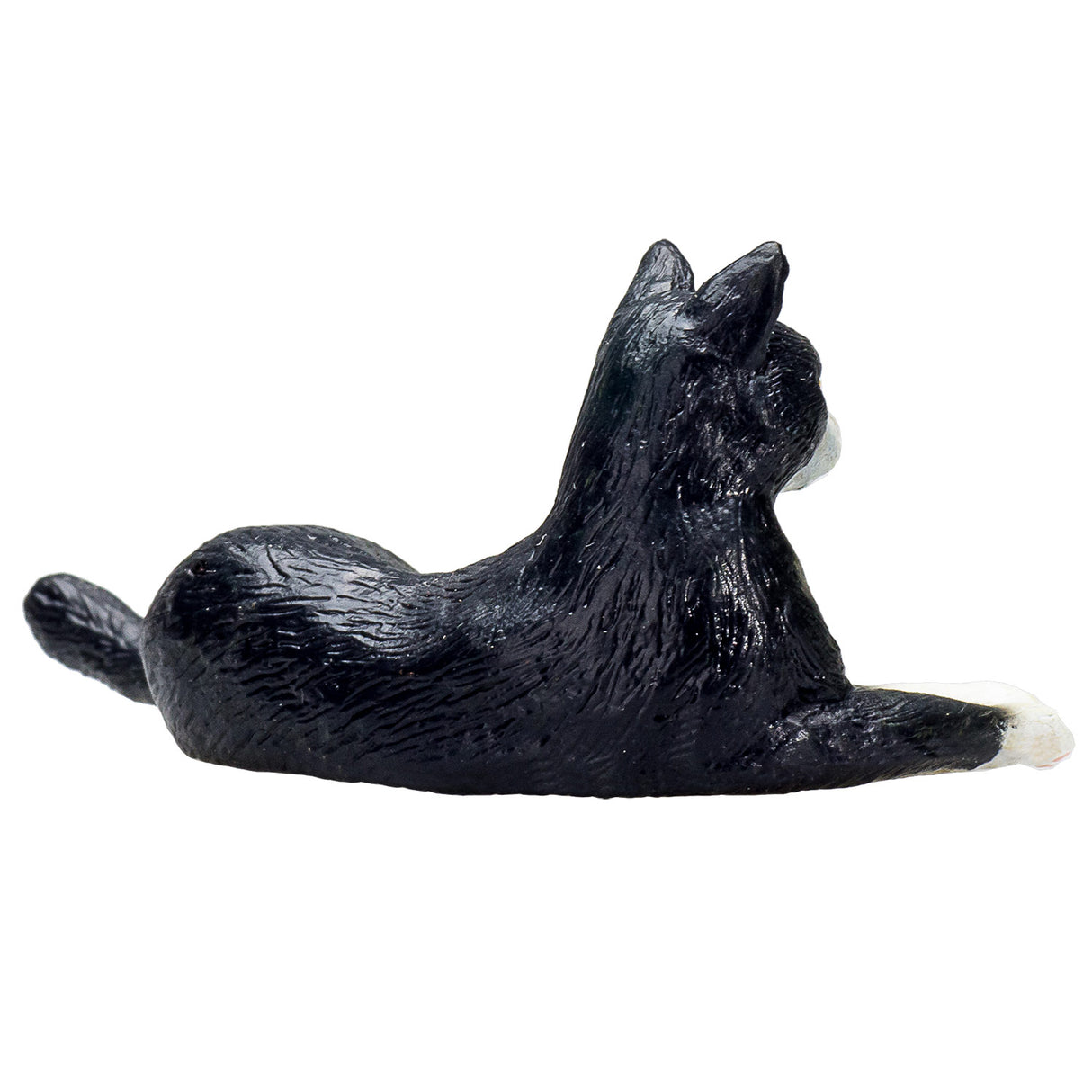 Terras agrícolas de mojo deitada gato preto e branco 387367