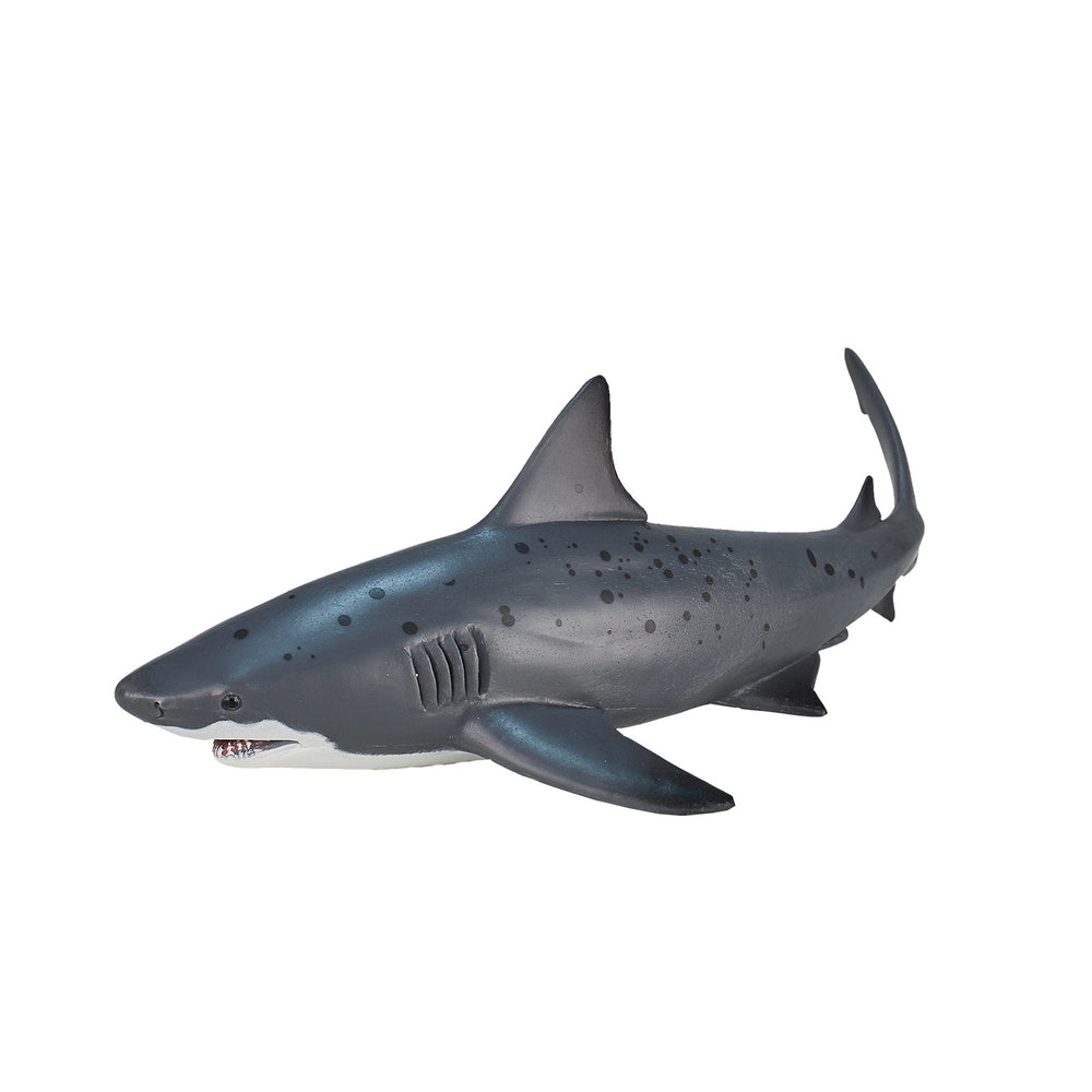 Mojo Seallife Bull Shaai 387270