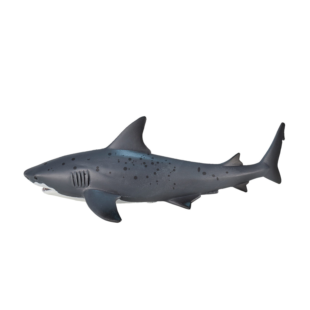 Mojo Seallife Bull Shaai 387270