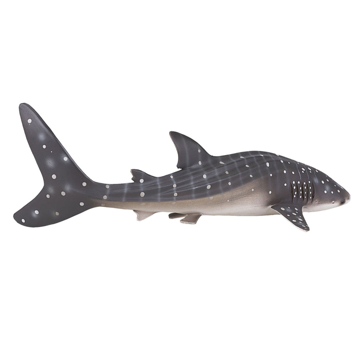 Mojo Sealfe WALVISHAAI 387278