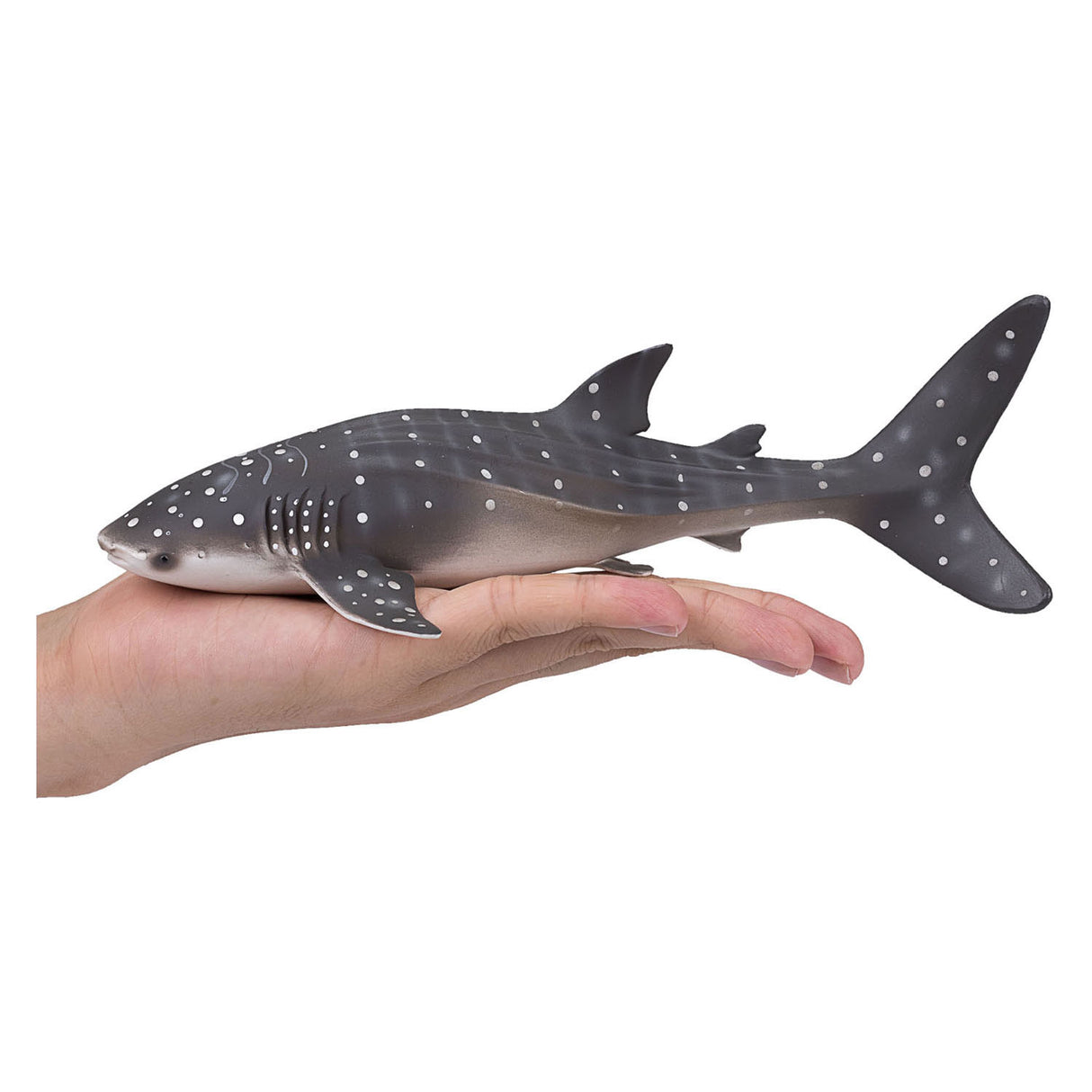 Mojo Sealfe WALVISHAAI 387278