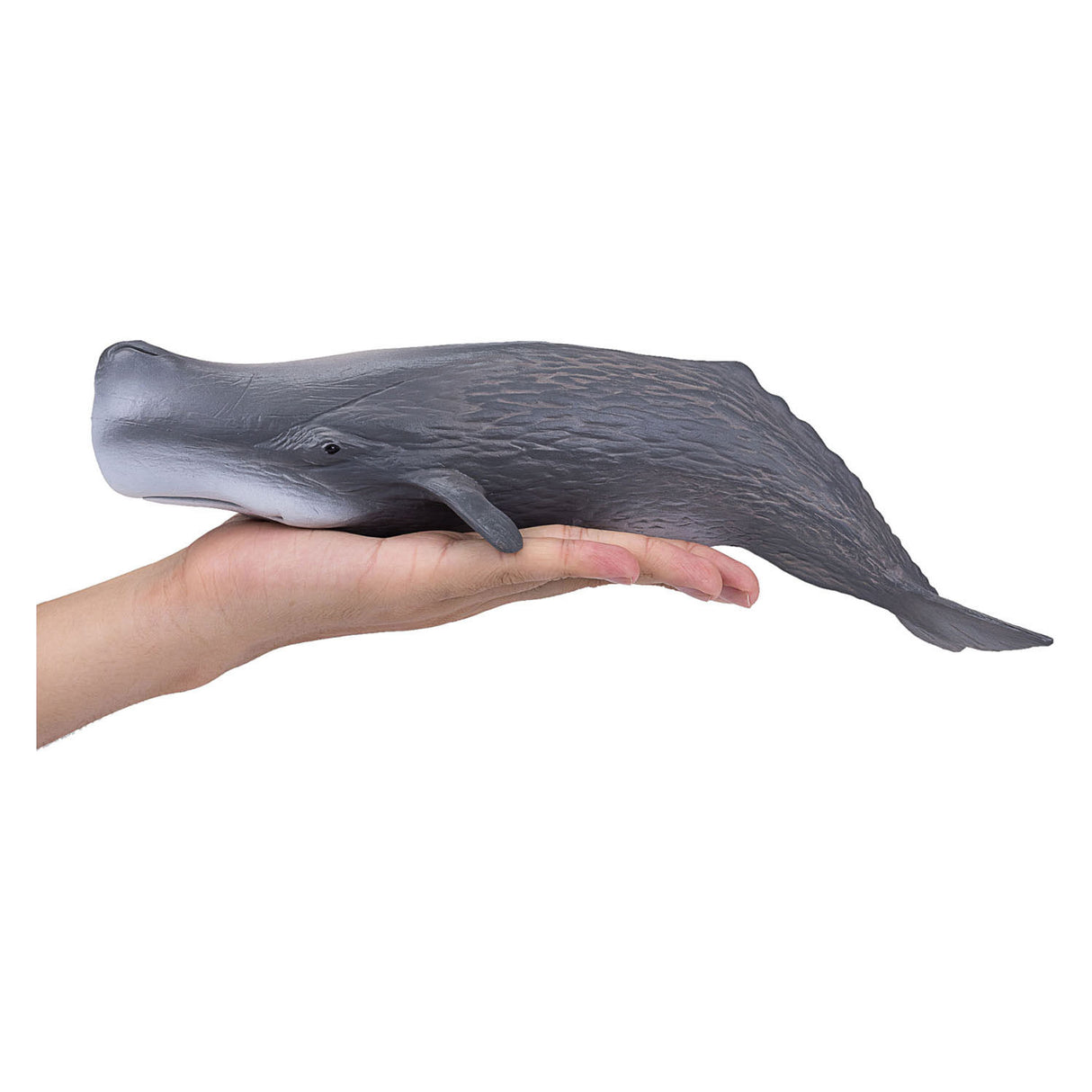 Mojo Sealife Potfish 387210