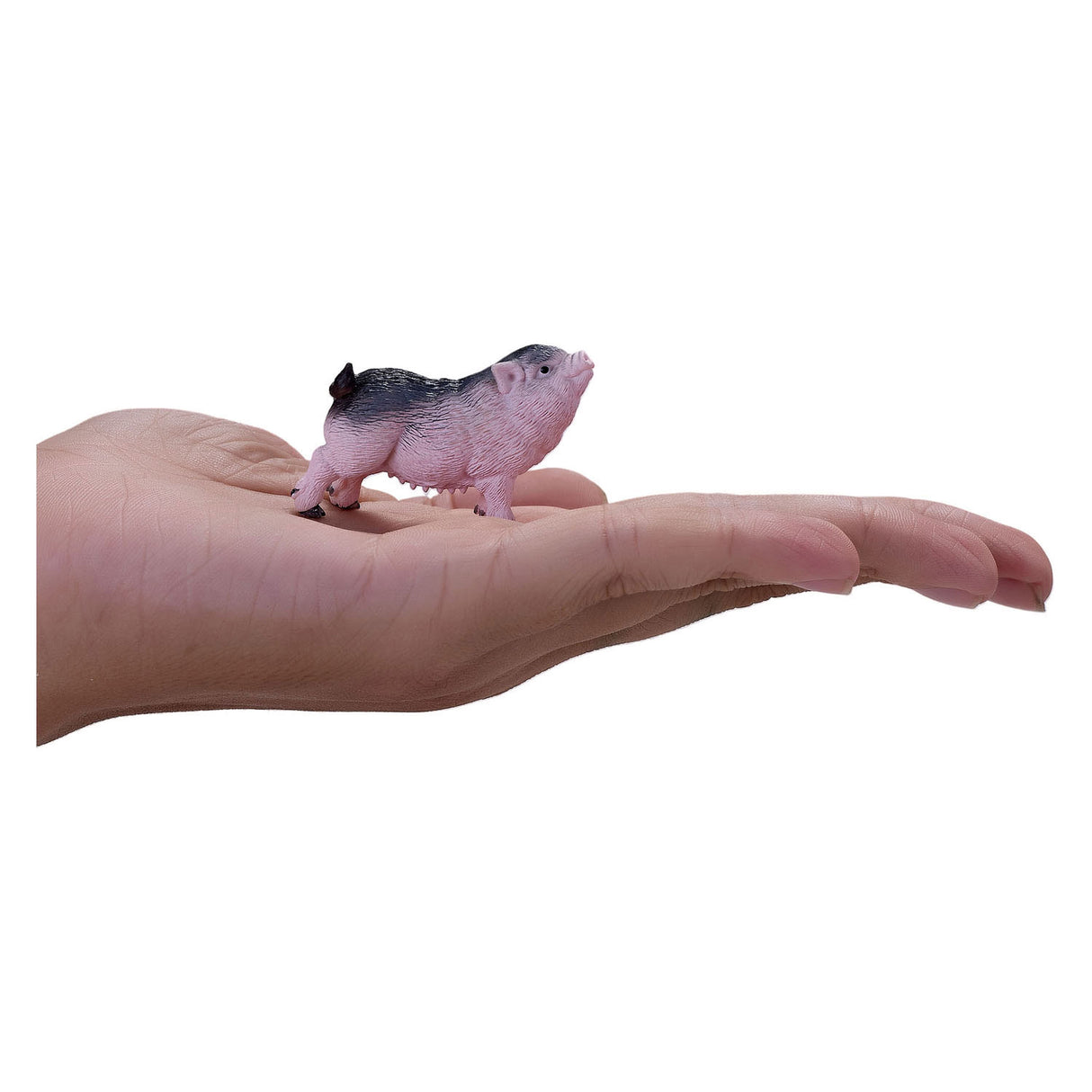 Mojo Ackerland, der Bauch Big - 381080 umgeht