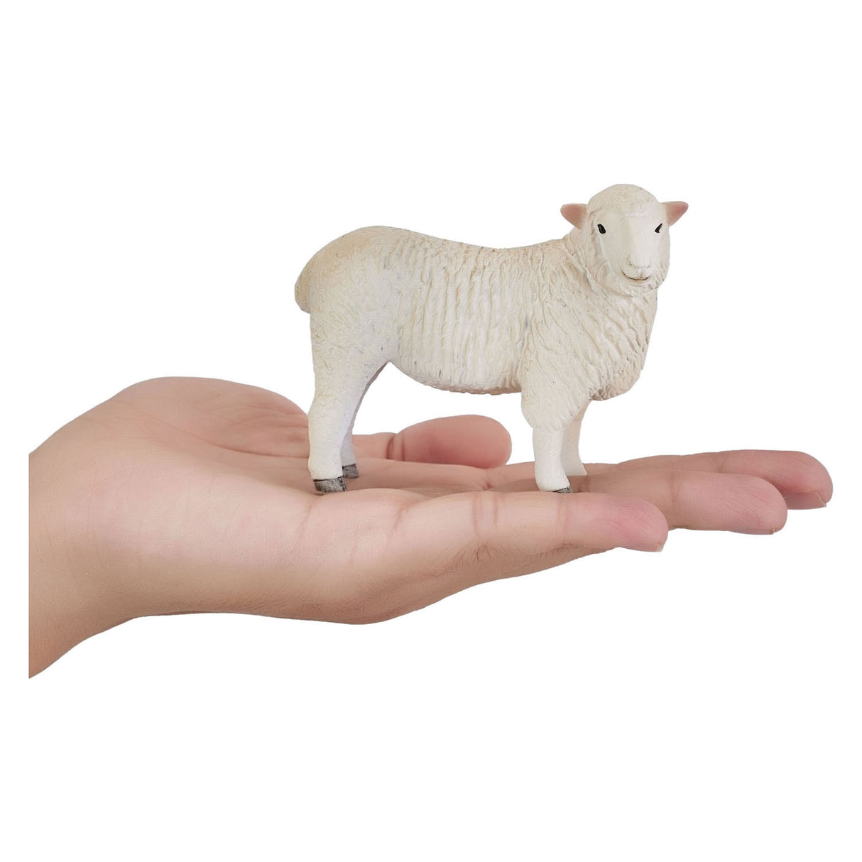 Mojo Farmland Romney sheep ewe - 381064