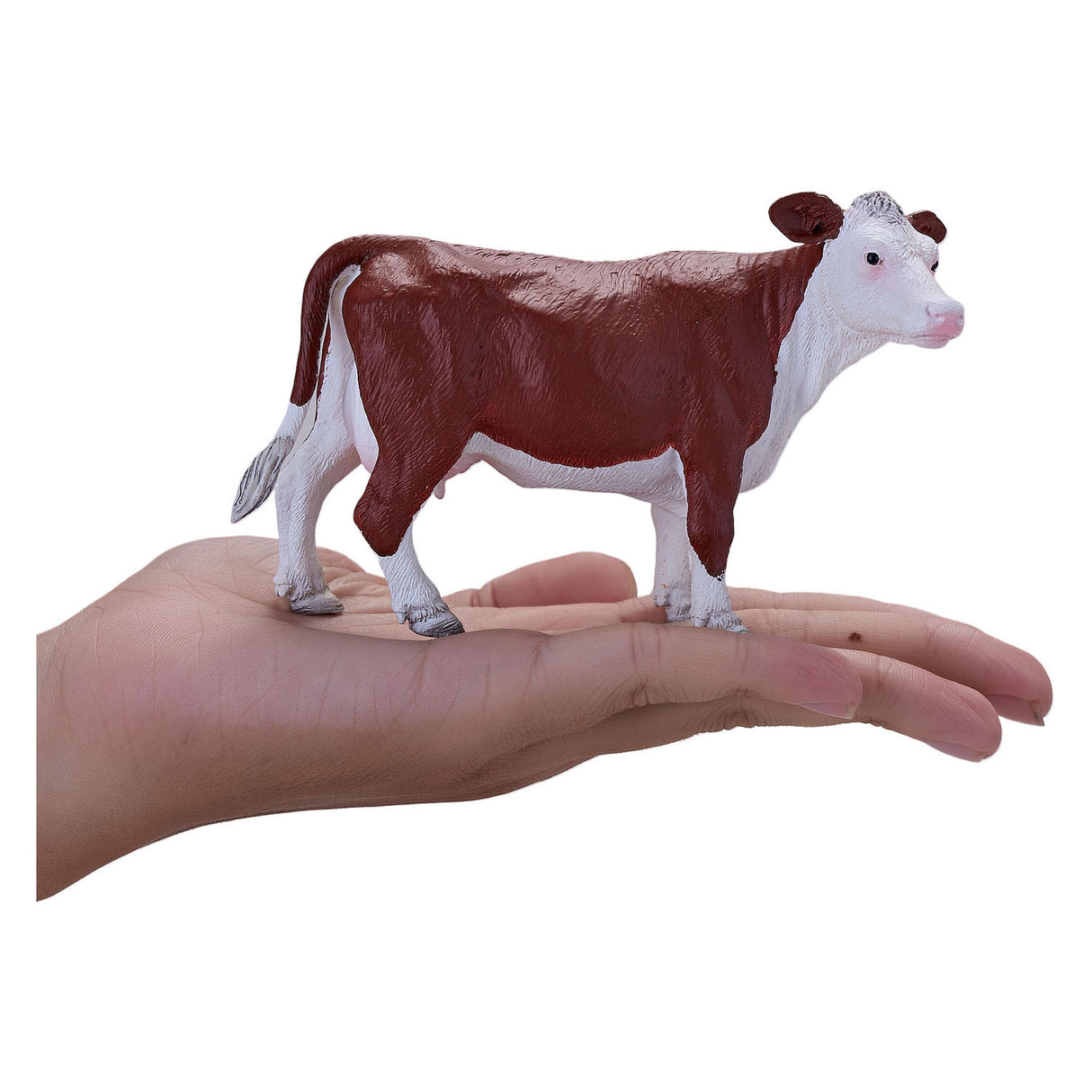 Mucca Hereford del terreno agricolo Mojo - 381074