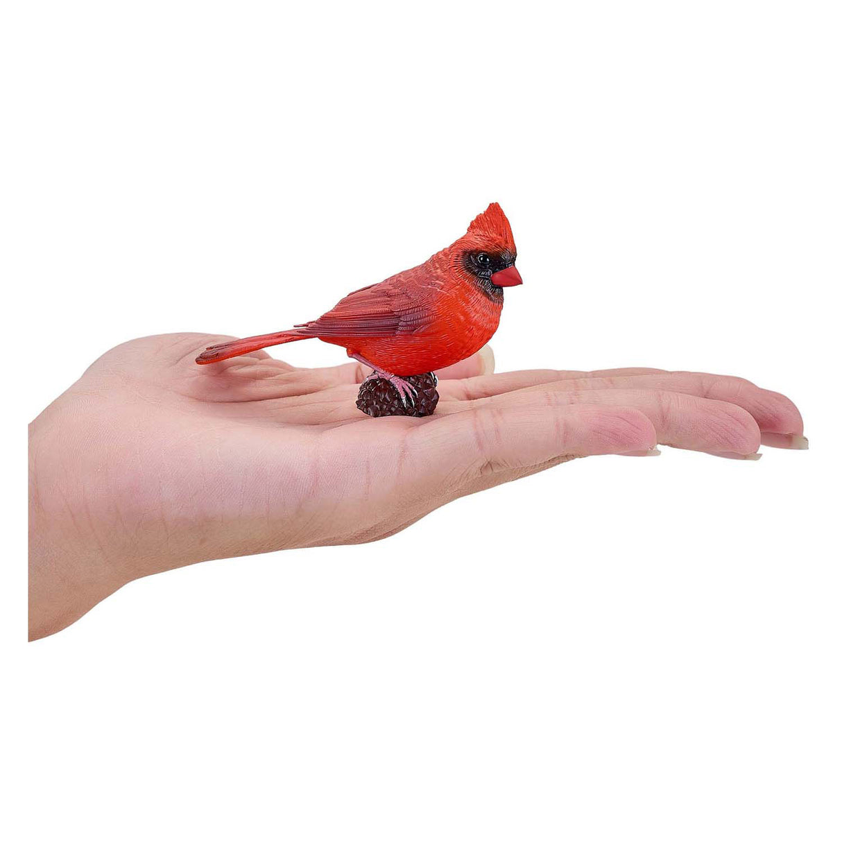 Mojo Farmland Red Cardinal - 381117