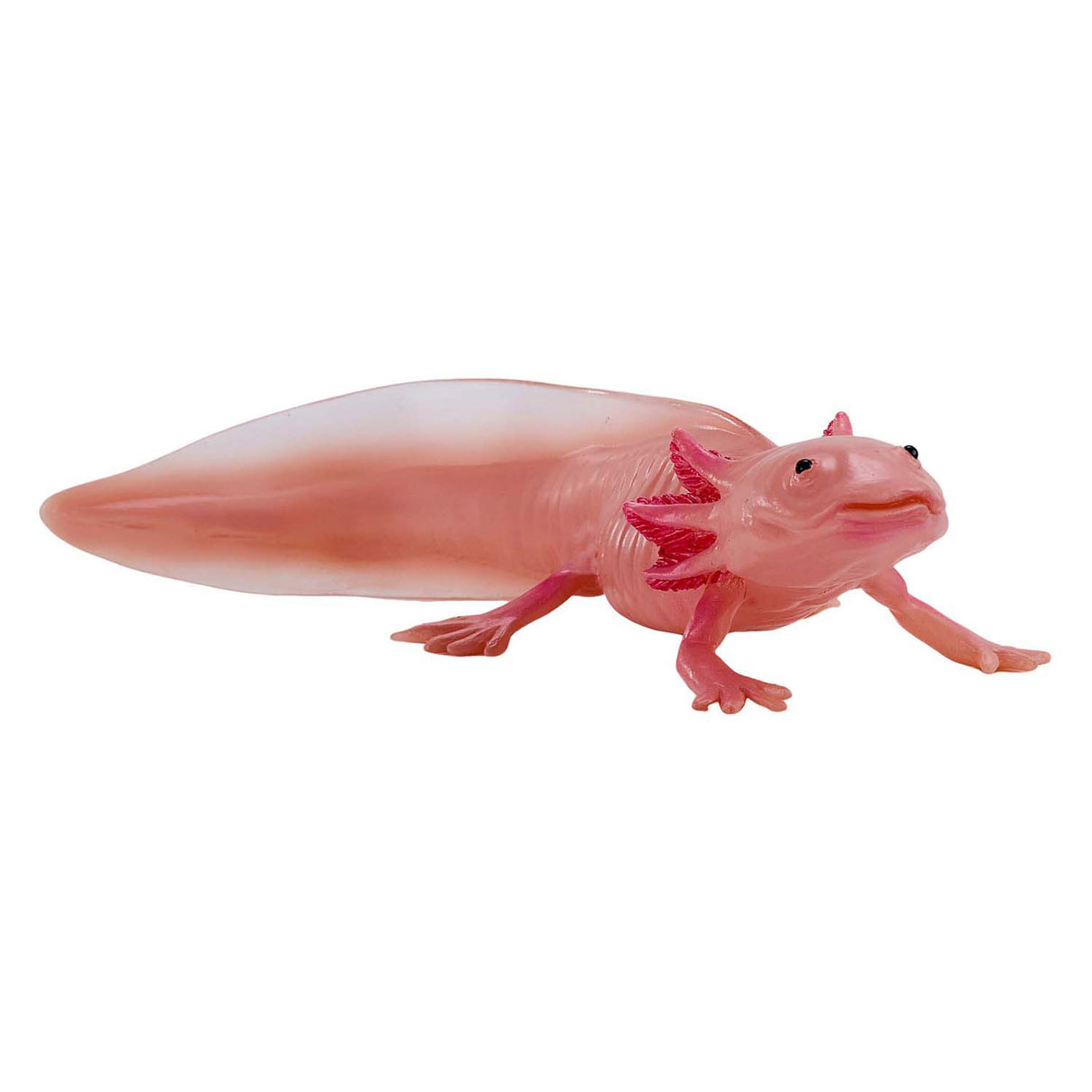 Mojo divji axolotl 381108