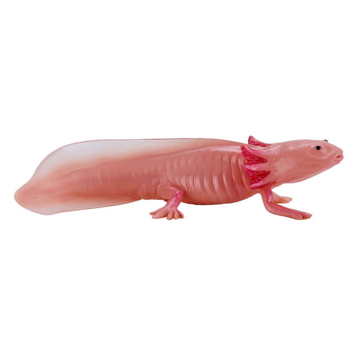 Mojo divji axolotl 381108