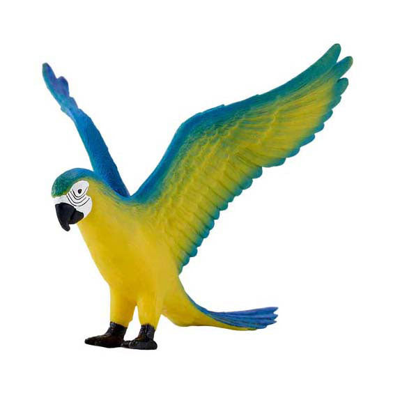 Parrot fiadhúlra Mojo macaw gorm - 381097