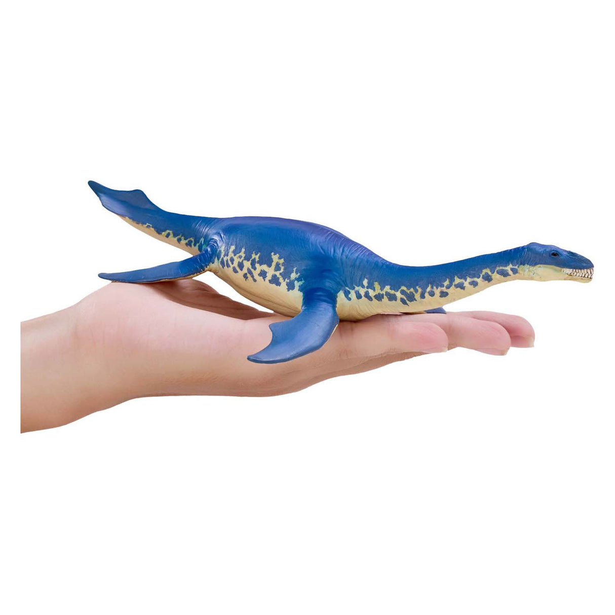 Mojo prehistory cryptoclidus - 381107