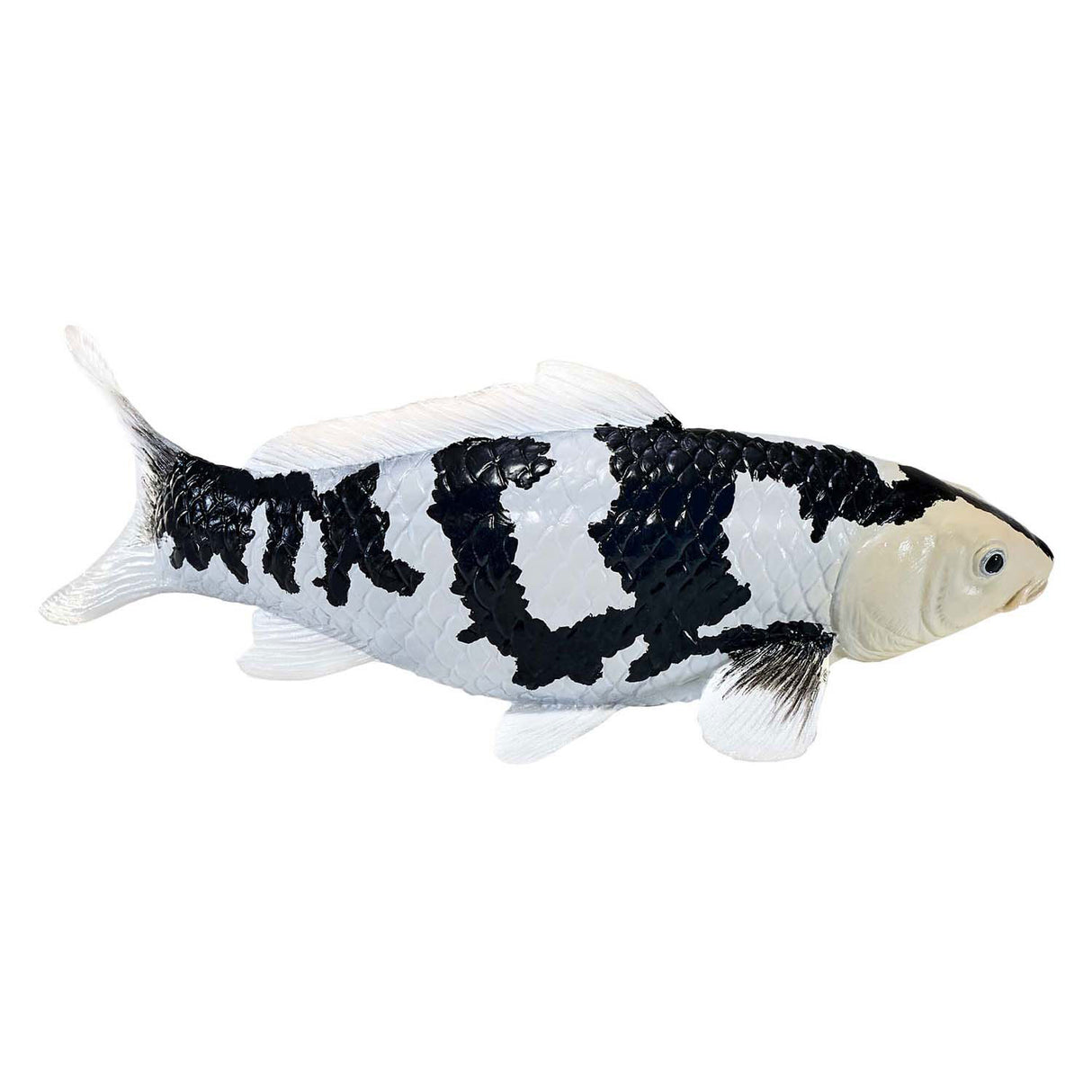 Mojo sealife koi carp - shiro utsuri koi - 381102