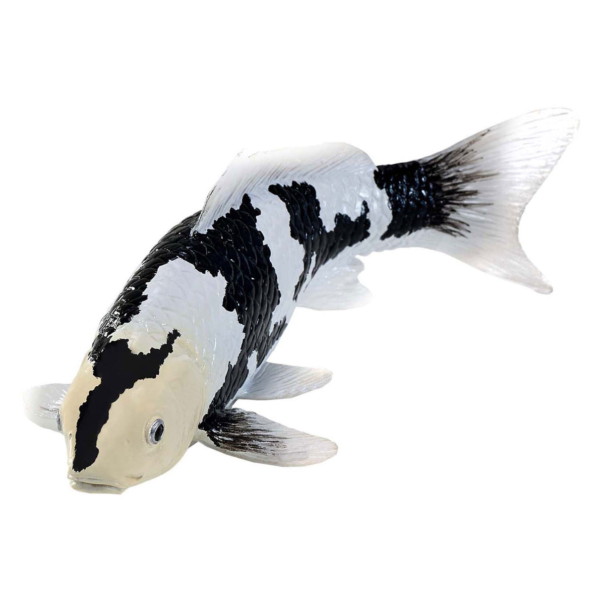 Mojo sealife koi carp - shiro utsuri koi - 381102