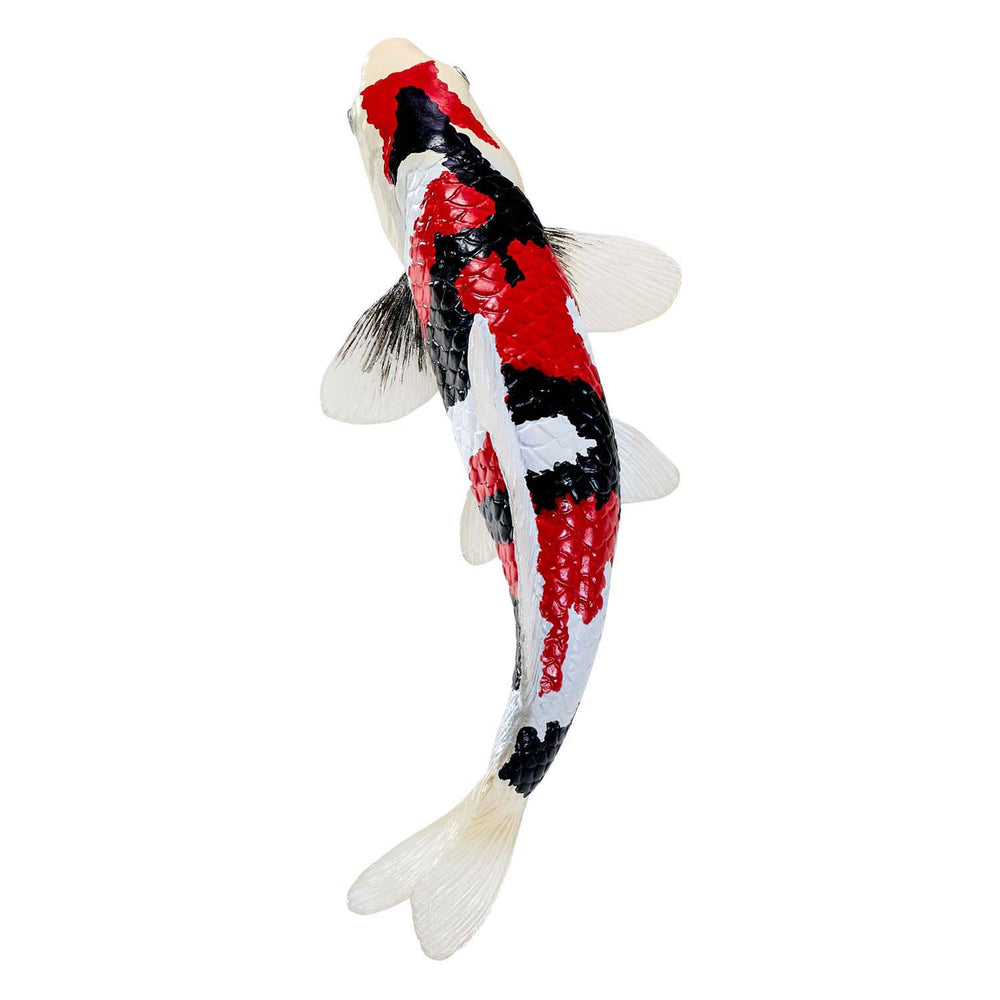 Mojo sealife koi carp - showa sanshoku koi - 381103