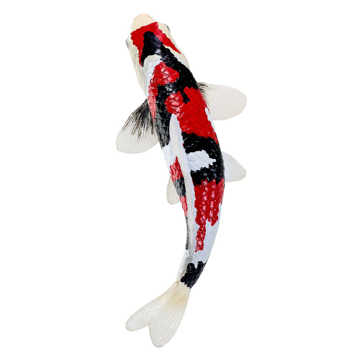 Mojo sealife koi carp - showa sanshoku koi - 381103