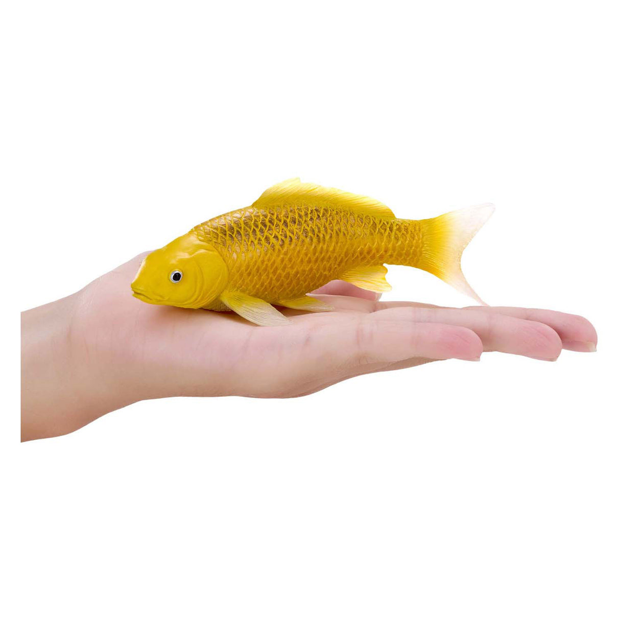 Mojo Sealife Koi Karper - Kin Matsuba Koi - 381105