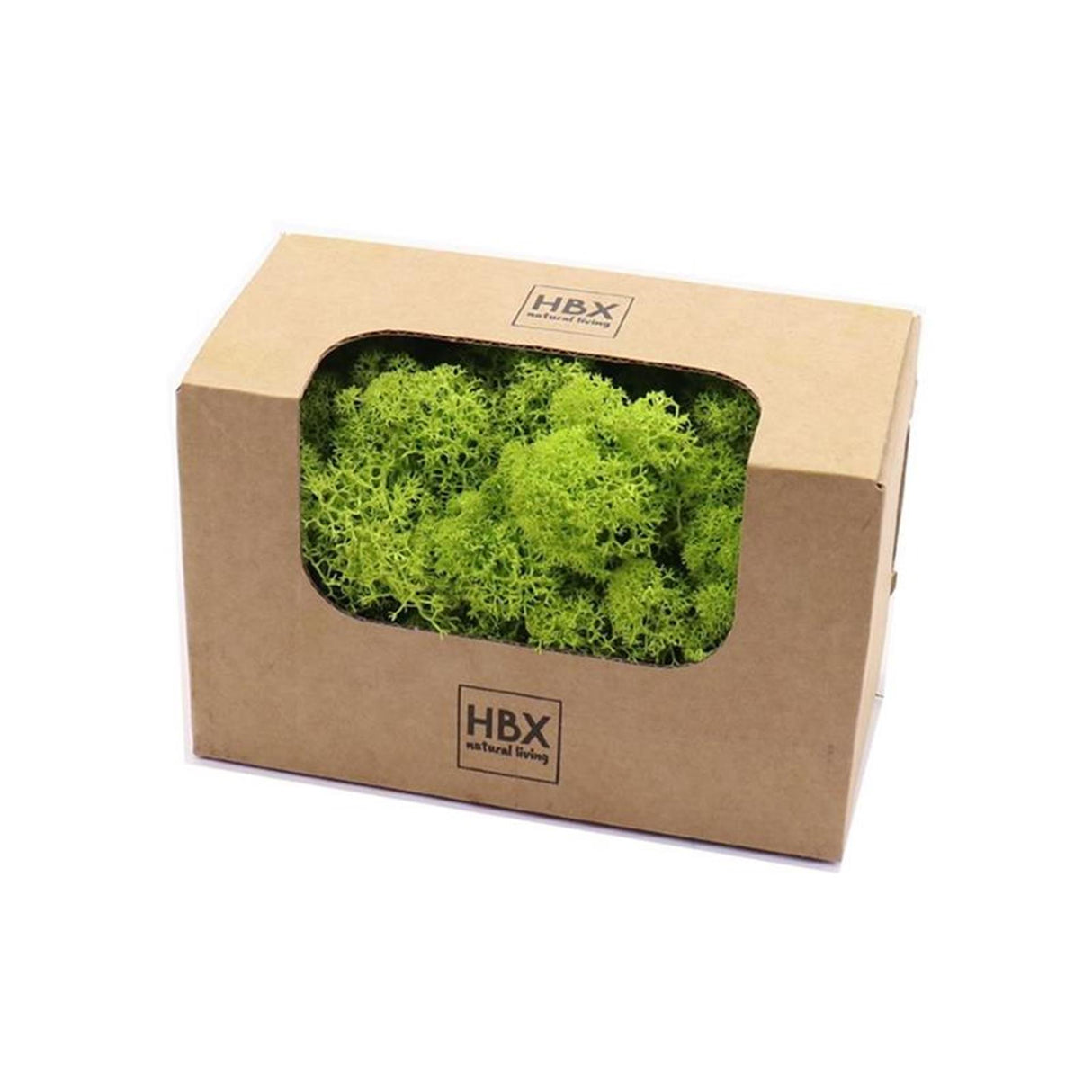 Hbx natural living basic rendier mos 50gr groen