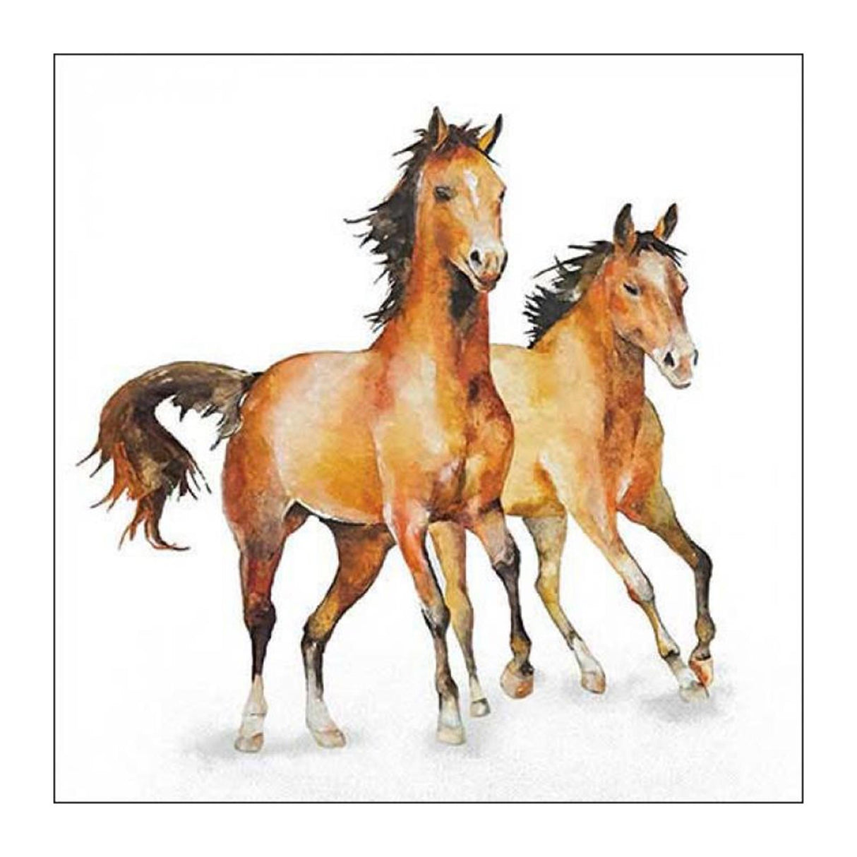 Ambiente servet 33 wild horses