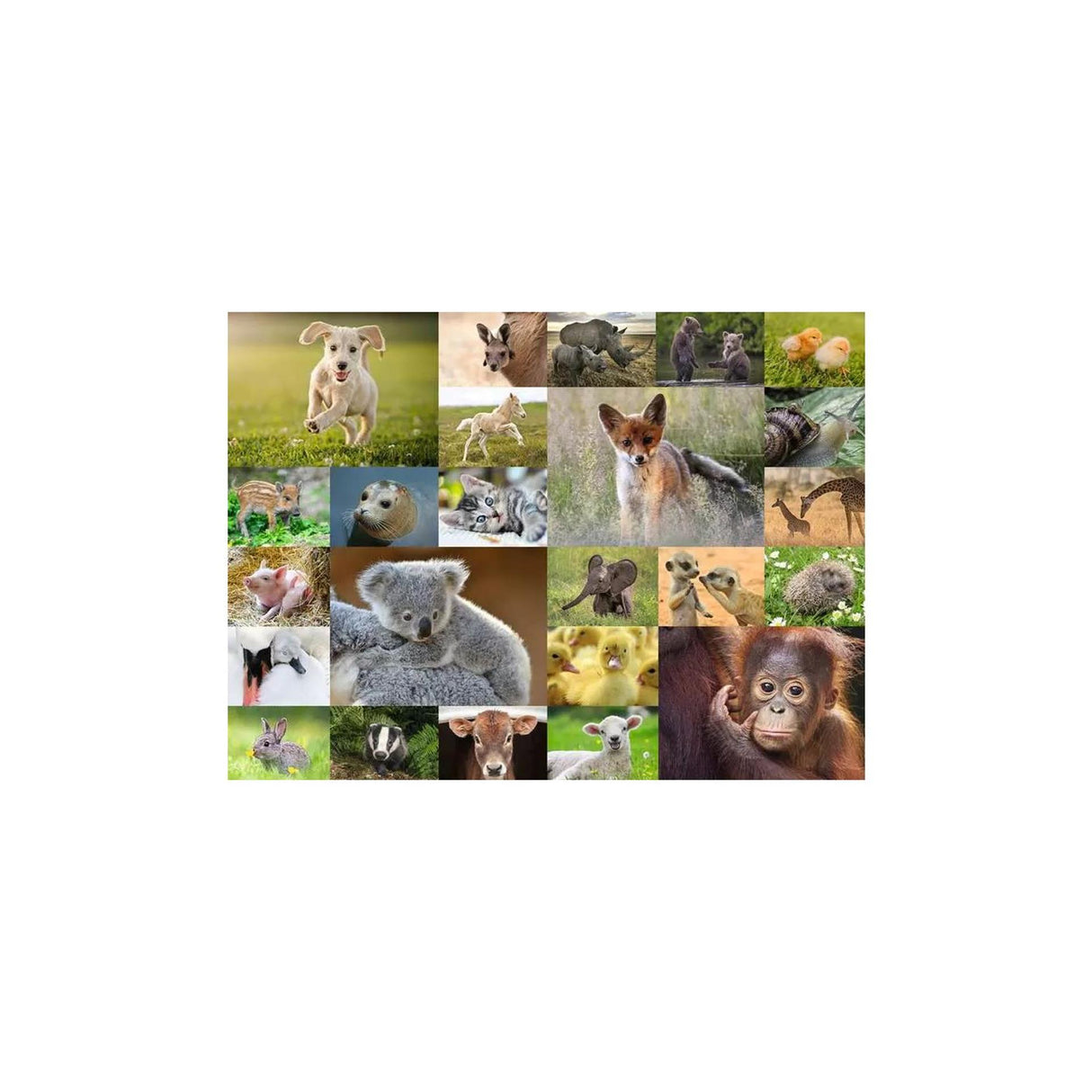 Ravensburger puzzle cute baby animals, 200st. Xxl
