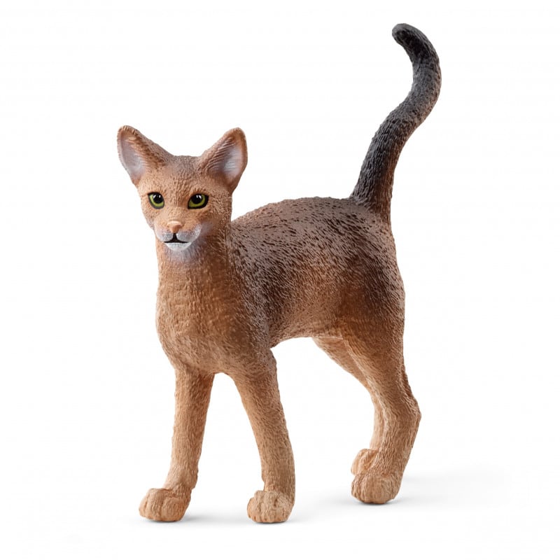Schleich FARM WORLD Abyssinian 13964