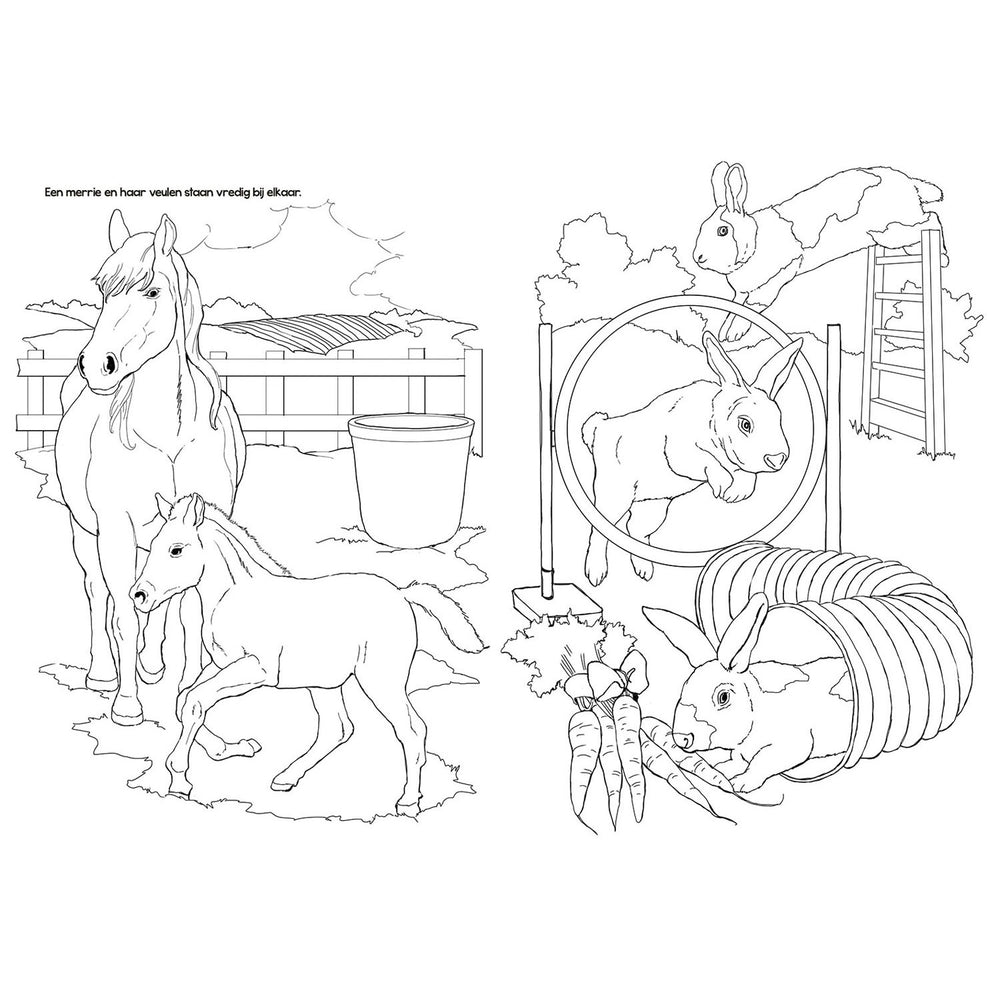 Selecta coloring book farm animals