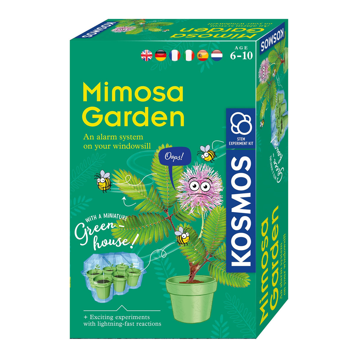 Growing Cosmos Mimosa Plants