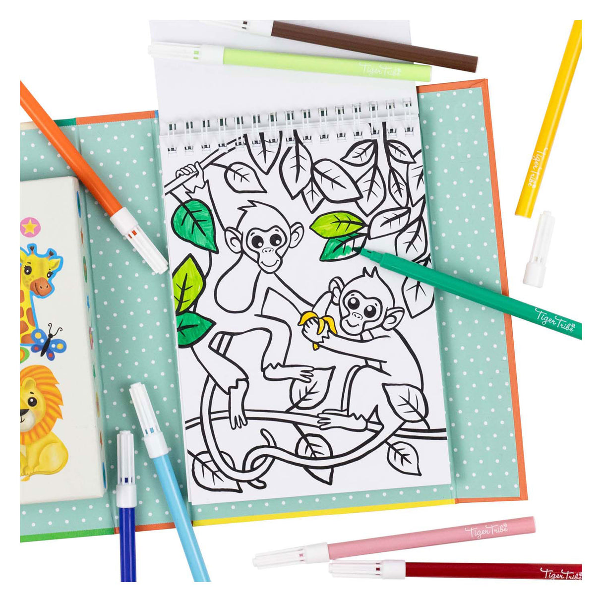 Conjunto de color SelectA - Zoo