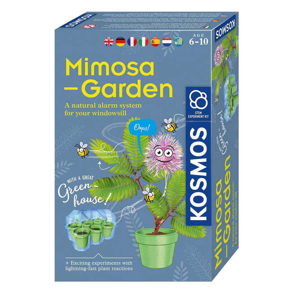 Selecta cosmos mimosa garden play set