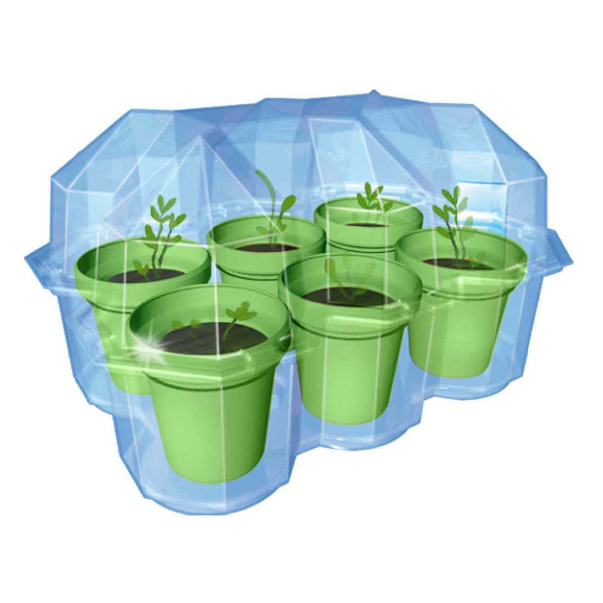 Selecta cosmos mimosa garden play set