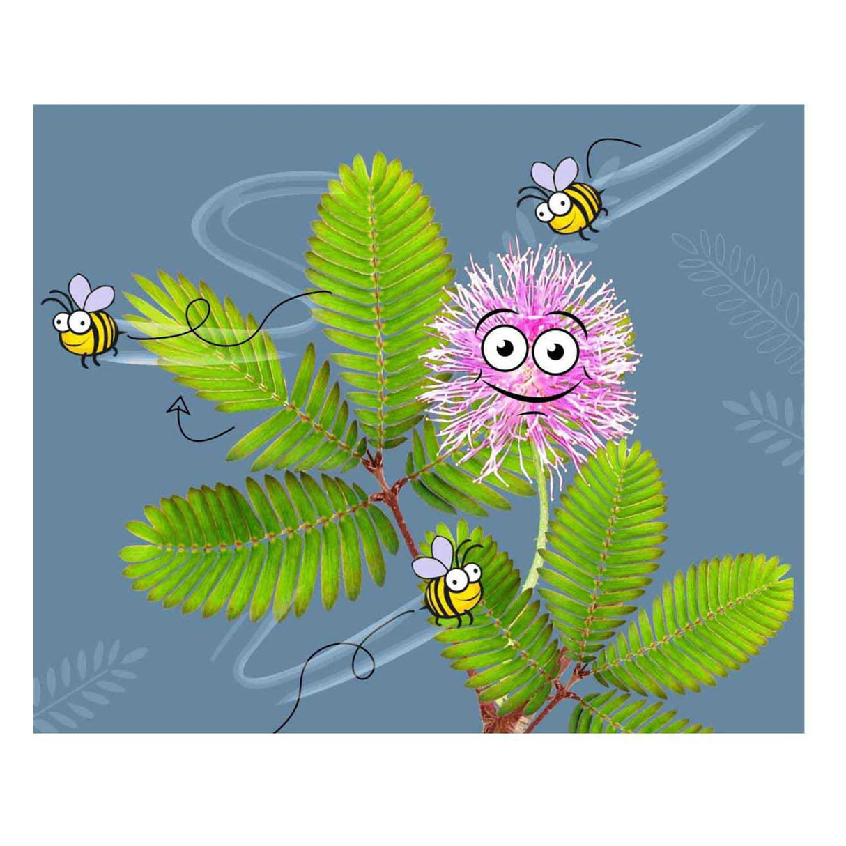 Selecta kosmos mimosa garden speelset