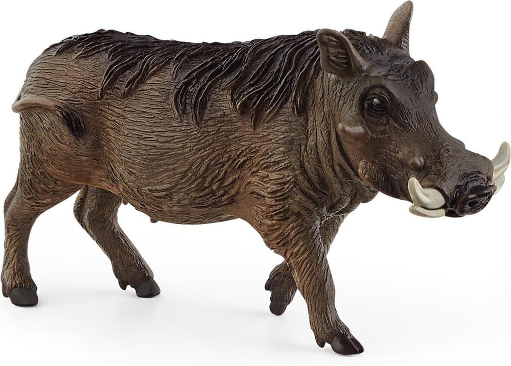 Schleich WILD LIFE Warthog 14843