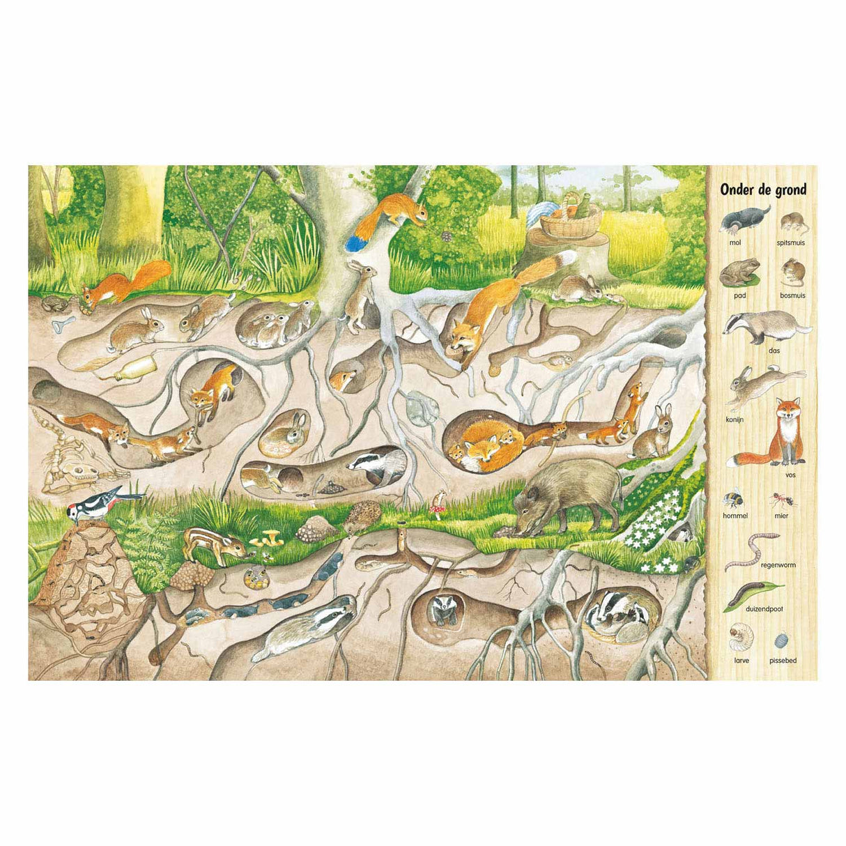 Delta's look and search book - in the forest