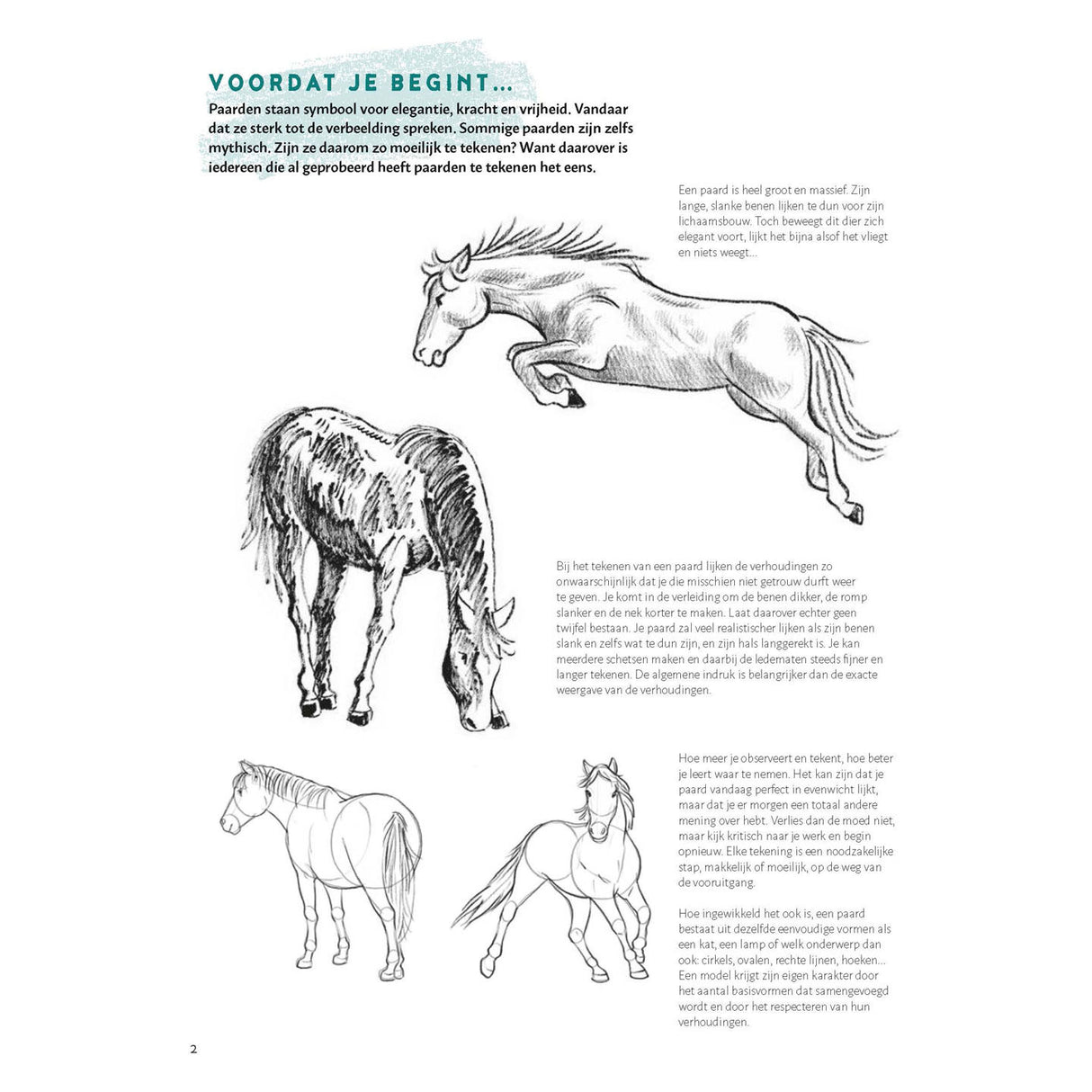 Learn to draw horses step by step