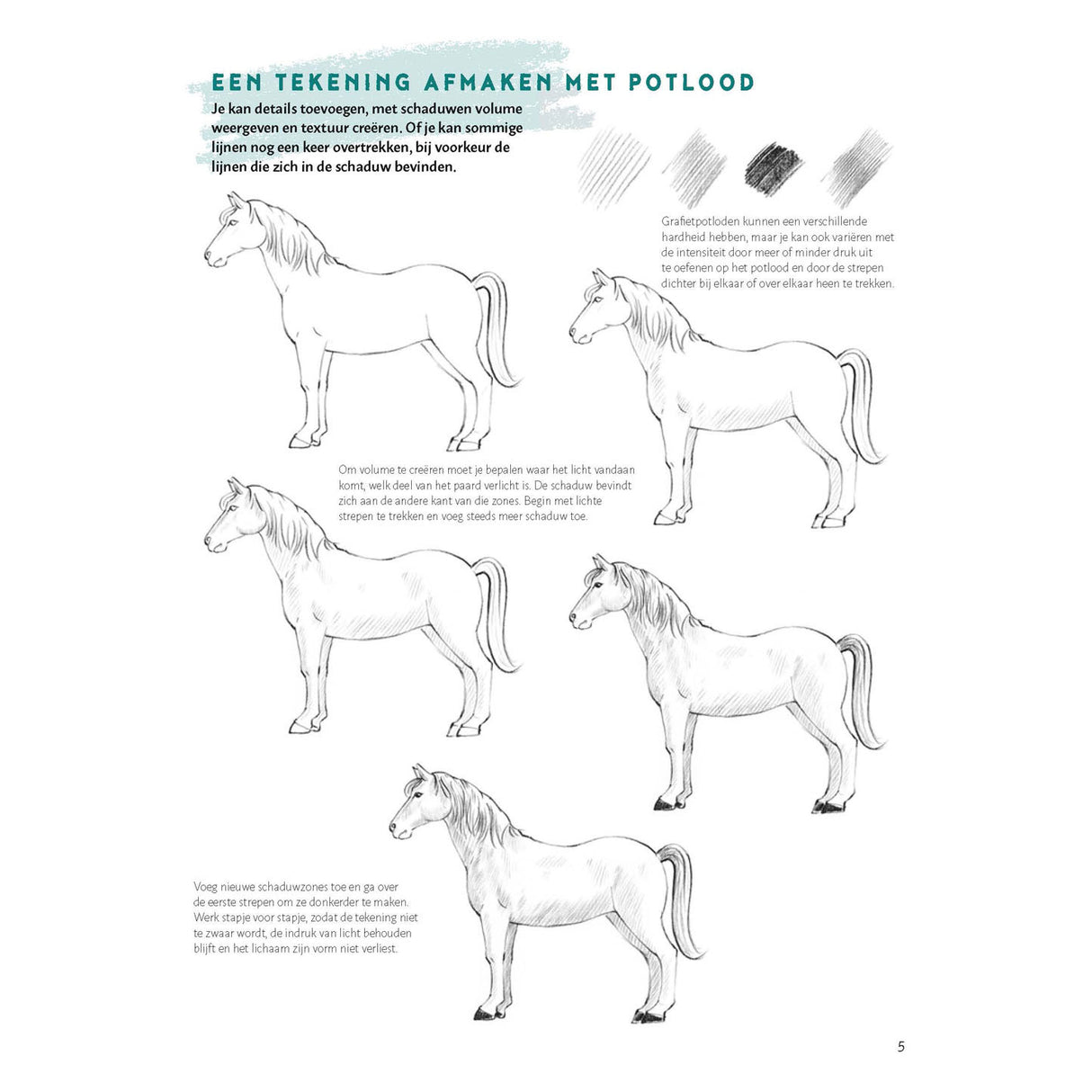 Learn to draw horses step by step