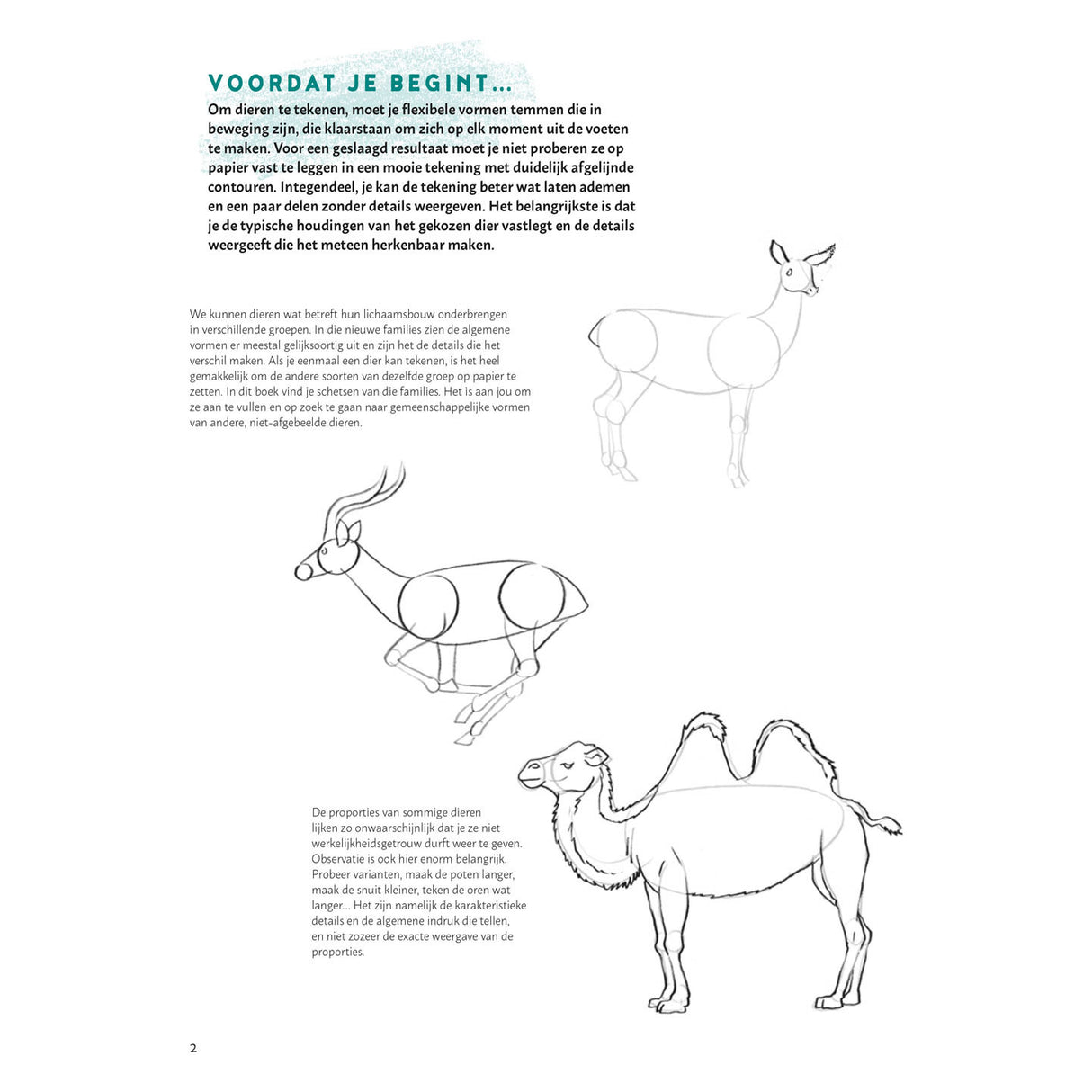 Learn to draw animals step by step
