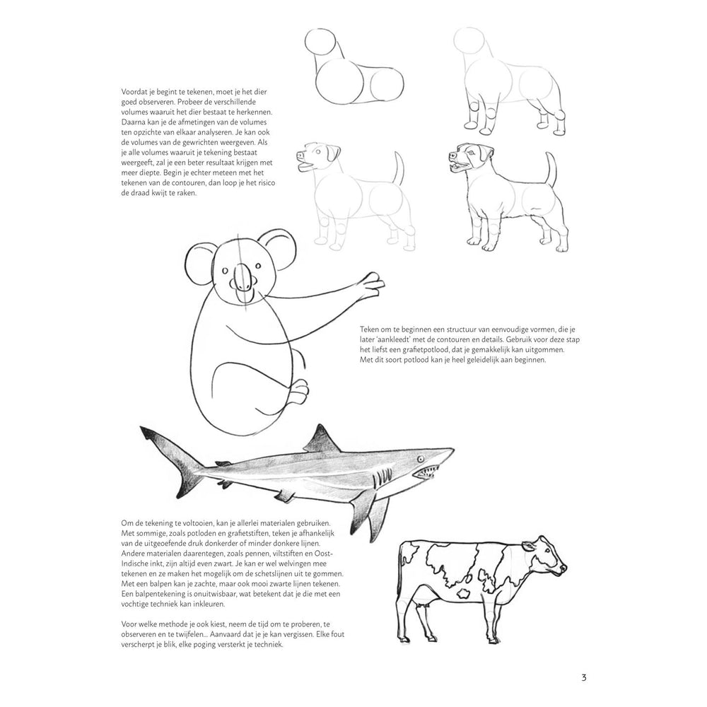 Learn to draw animals step by step