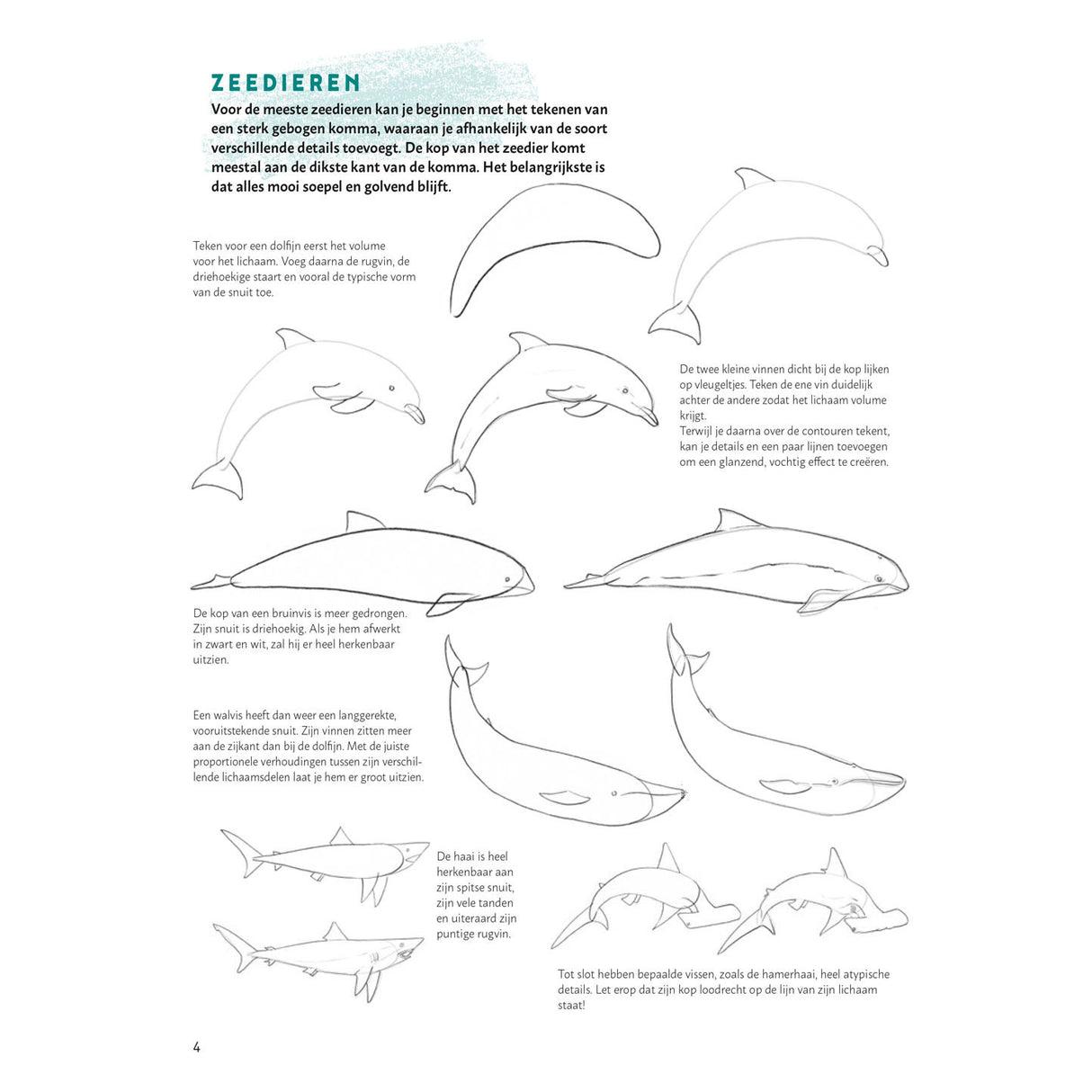 Learn to draw animals step by step