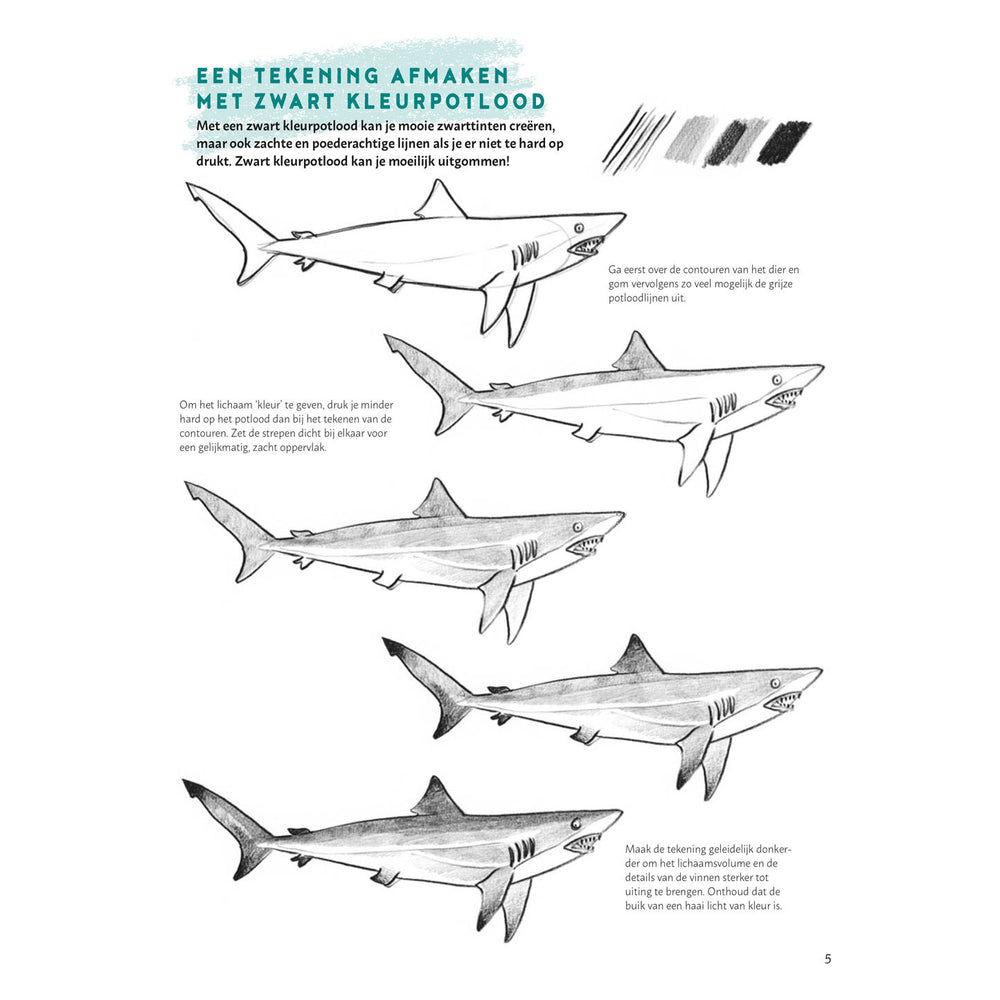 Learn to draw animals step by step