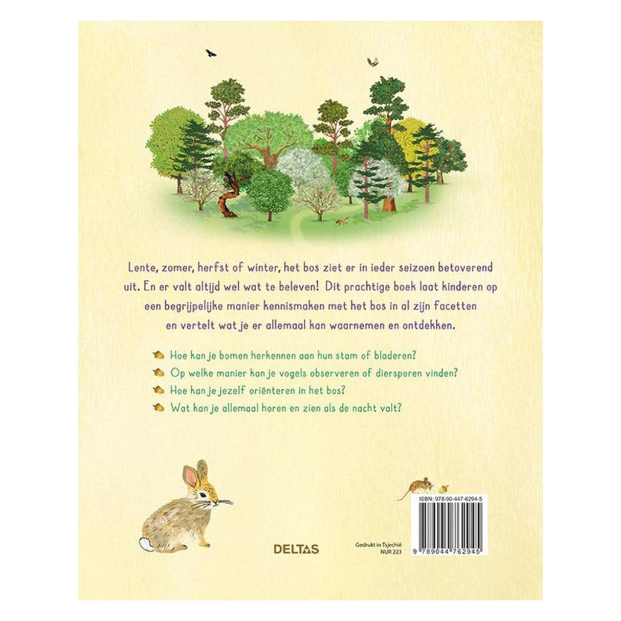 Deltas exploring in the forest