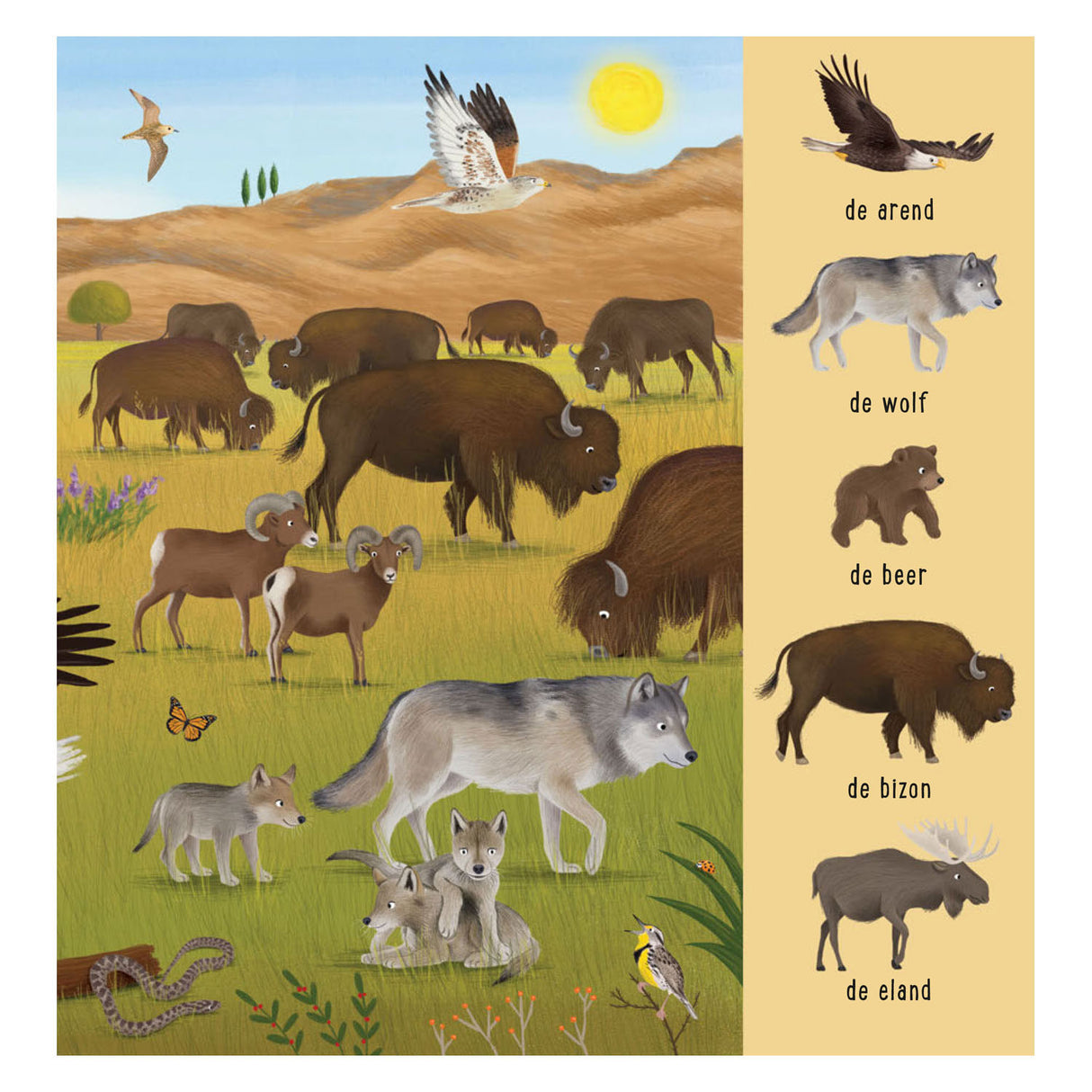 Deltas my first search book - animals from all over the world