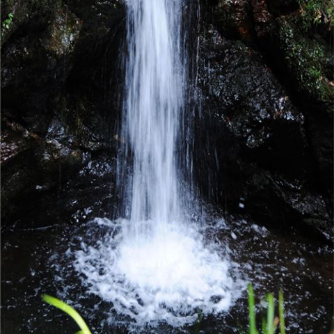 Marumi pilkos spalvos filtras DHG ND8 67 mm