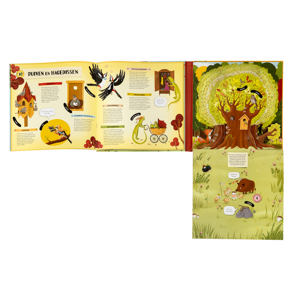 Buchspecials Nederland BV Folding und Flapjesboek im Baum