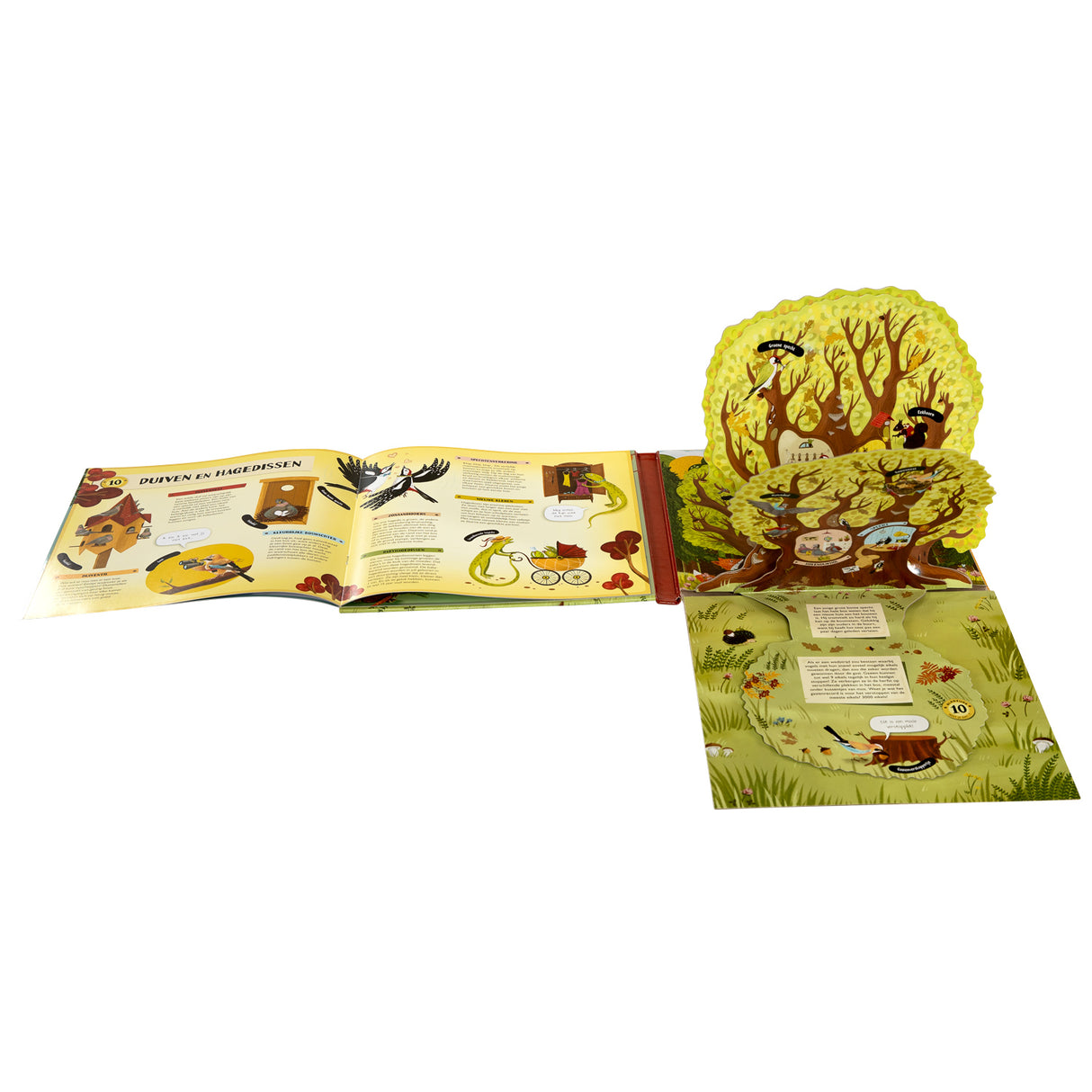 Buchspecials Nederland BV Folding und Flapjesboek im Baum