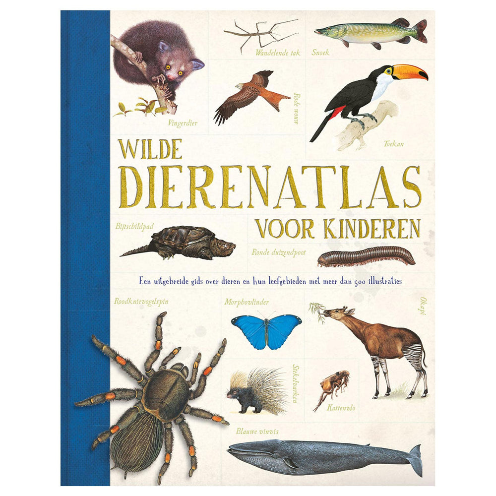 Rebo publishers wild animal atlas for children